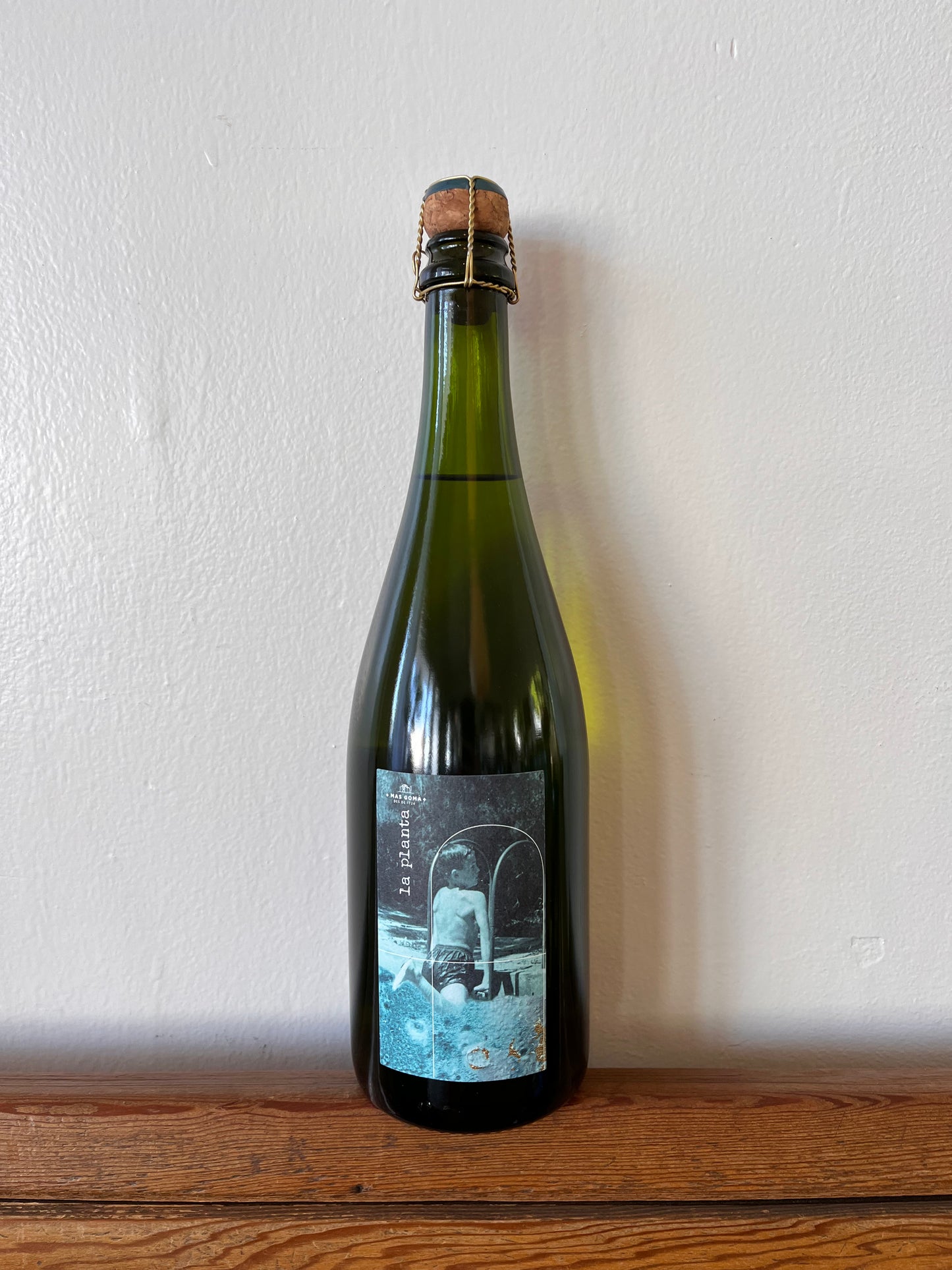 Mas Gomà Brut Nature La Planta NV