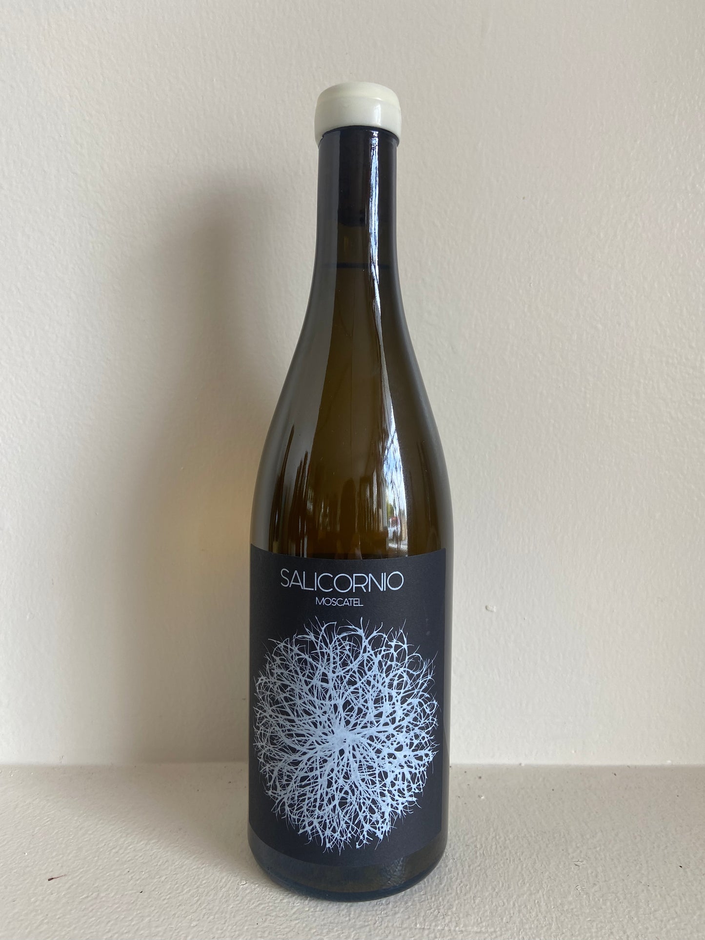 Finca Casa Balaguer "Salicornio" 2021